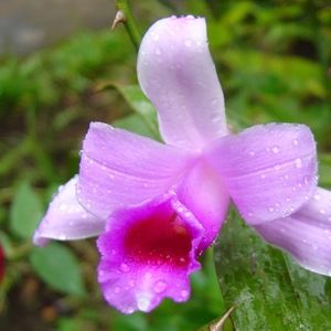 Meet your Posher, Neha